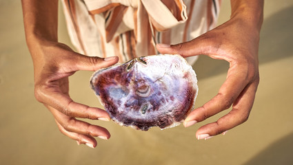 Hands holding seashell with beautiful Mother of Pearl at beach of Port Barton, Palawan, Philippines