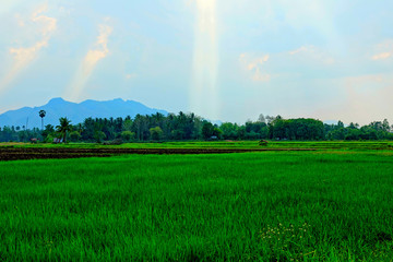 Thailand landscape near national park Phu Pha Man
