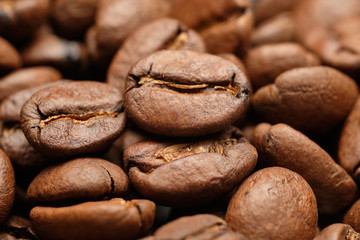 Detail studio photo of coffee beans.