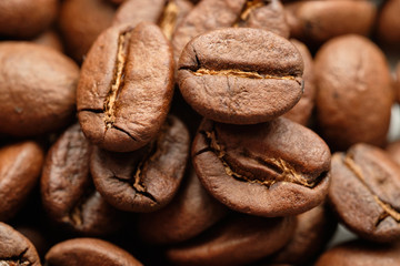 Detail studio photo of coffee beans.