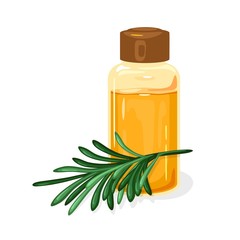 Green twig of Siberian pine or Melaleuca is near glass jar closed by brown cap with fragrant curative essential oil. Natural antiseptic, antibiotic, infection treatment, massage agent. Vector on white