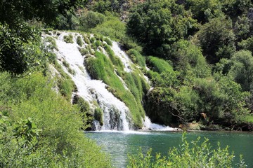 Fototapeta na wymiar a waterfall on the Krupa river, Croatia