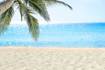 Sand beach and tropical sea.