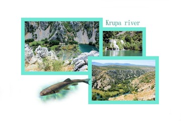 postcard design for the Krupa river, Croatia