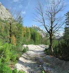 Im Karwendel am Isarradweg