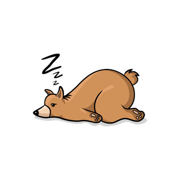 Brown Bear Feel Sleepy, Illustration Design in White Background