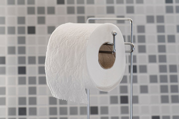 Roll of toilet paper on the counter in the bathroom