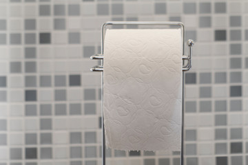 Roll of toilet paper on the counter in the bathroom