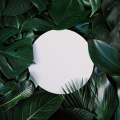 Circular cutout with green leaves Laying love concept