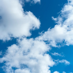 Obraz premium a group of white cumulus clouds in the blue sky as a natural background