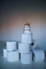 Hamsterkäufe mit Toilettenpapier