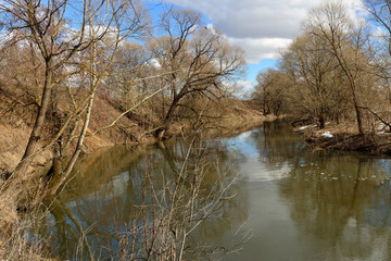 Walking through the forest