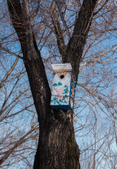 Birdhouse on a tree at springtime. 
