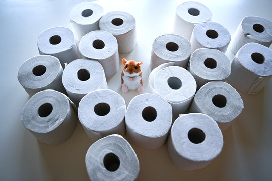 Hamsterkäufe mit Toilettenpapier