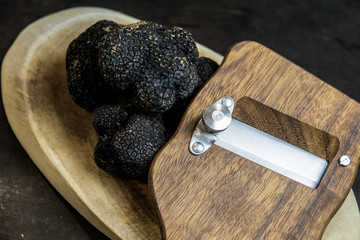 Truffe noire melanosporum