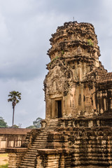 Naklejka premium Angkor Wat temple Siem Reap Cambodia in Nature
