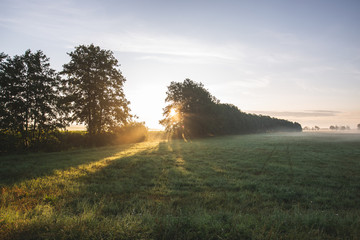 Fototapeta na wymiar Brandenburg, Landschaftsaufnahmen am Morgen mit Drohne