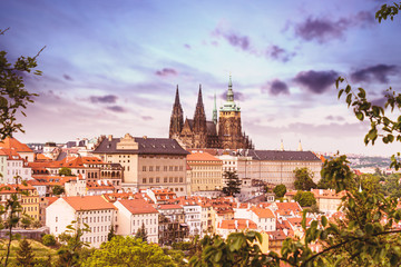 Spring Prague Castle - Praha City, Czech Republic, Czechia.