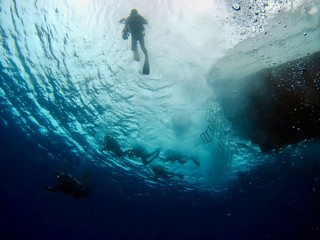 Obraz na płótnie Canvas 船から飛び込んで泳ぎ始める数名のダイバー