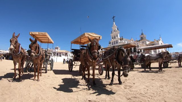 Horse carriage in front of El Rocio church. HUELVA, ANDALUSIA, SPAIN. 