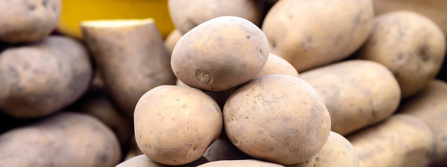 Fototapeta premium Fresh organic young potatoes sold on market