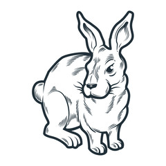Illustration of rabbit silhouette, hand drawing