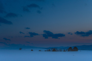 夕暮れ美瑛