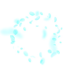 Turquoise flower petals falling down. Uncommon rom