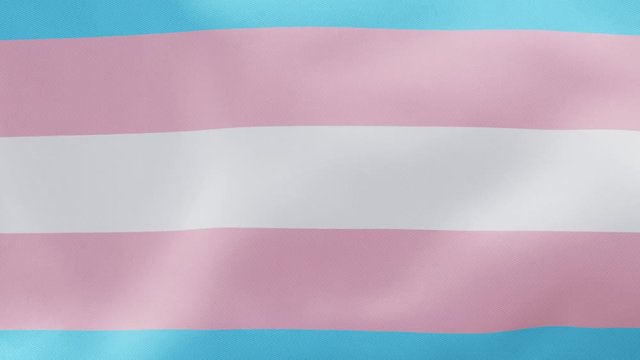 Transexual flag LGBT flag unfolding waving on green screen alpha transition 3d Render