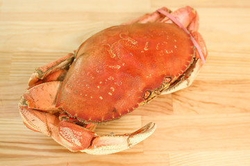  big crab, huge crab, seafood, delicacies, on wooden background