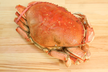  big crab, huge crab, seafood, delicacies, on wooden background