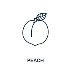 Peach icon from fruits collection. Simple line element Peach symbol for templates, web design and infographics