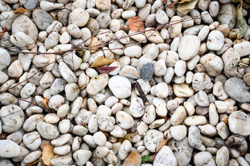 White smooth sea stones set in the yard. Marine decor in the garden.