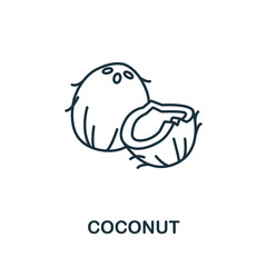 Coconut icon from fruits collection. Simple line element Coconut symbol for templates, web design and infographics