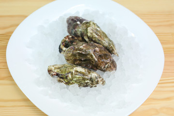 Fototapeta na wymiar oysters in shells live lie on ice