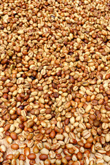  Close up of coffee beans for background                                  