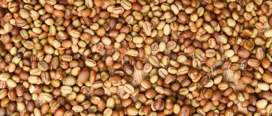  Close up of coffee beans for background   