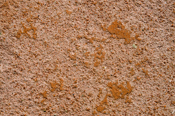 Old colorful  plaster on wall