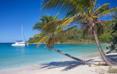 Catamarans and boats in Salt Whistle Bay on Mayreau tropical Island. Sailing Caribbean travel concept  - 332618766