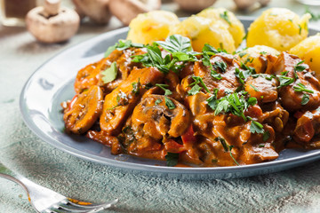 Fresh turkey ragout with mushrooms