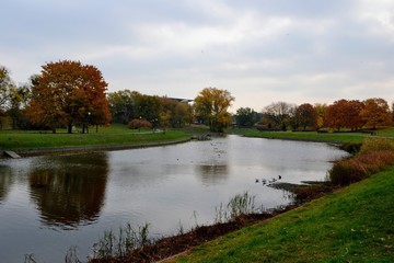 Pond with ducks and colorful trees in the park on a warm autumn day. Kepa Potocka, Warsaw, Poland