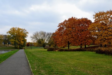 Fototapeta premium Colorful trees in the park on a warm autumn day. Kepa Potocka, Warsaw, Poland