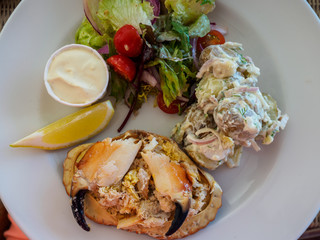 dressed crab
