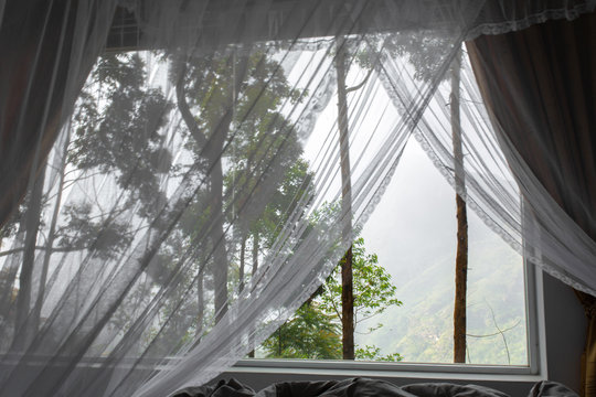 View Of The Mountain From The Window