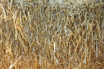 straw close up as background