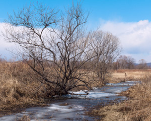 winter landscape with river and trees