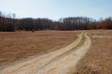 Naklejka premium a field with a tree in the background