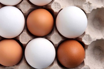 Brown and white chicken eggs in cardboard egg tray. Organic egg for healthy protein breakfast. Easter symbol. Raw chicken eggs.