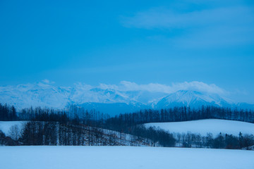 春先の美瑛の風景