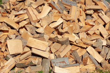 Pile of the beech firewood